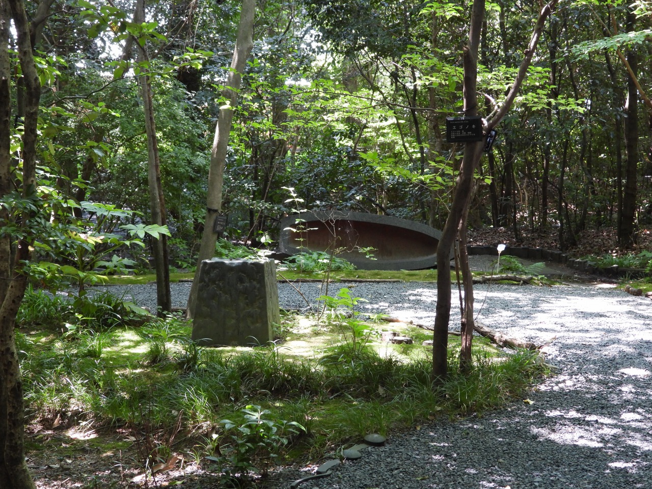 夏の風景